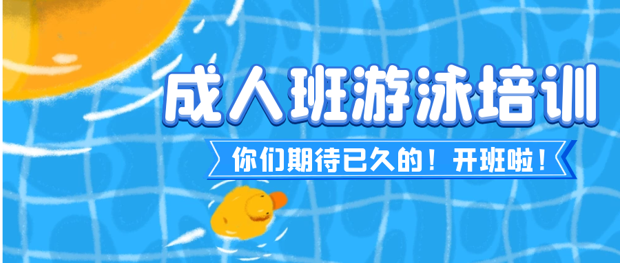成人游泳培训开班啦！